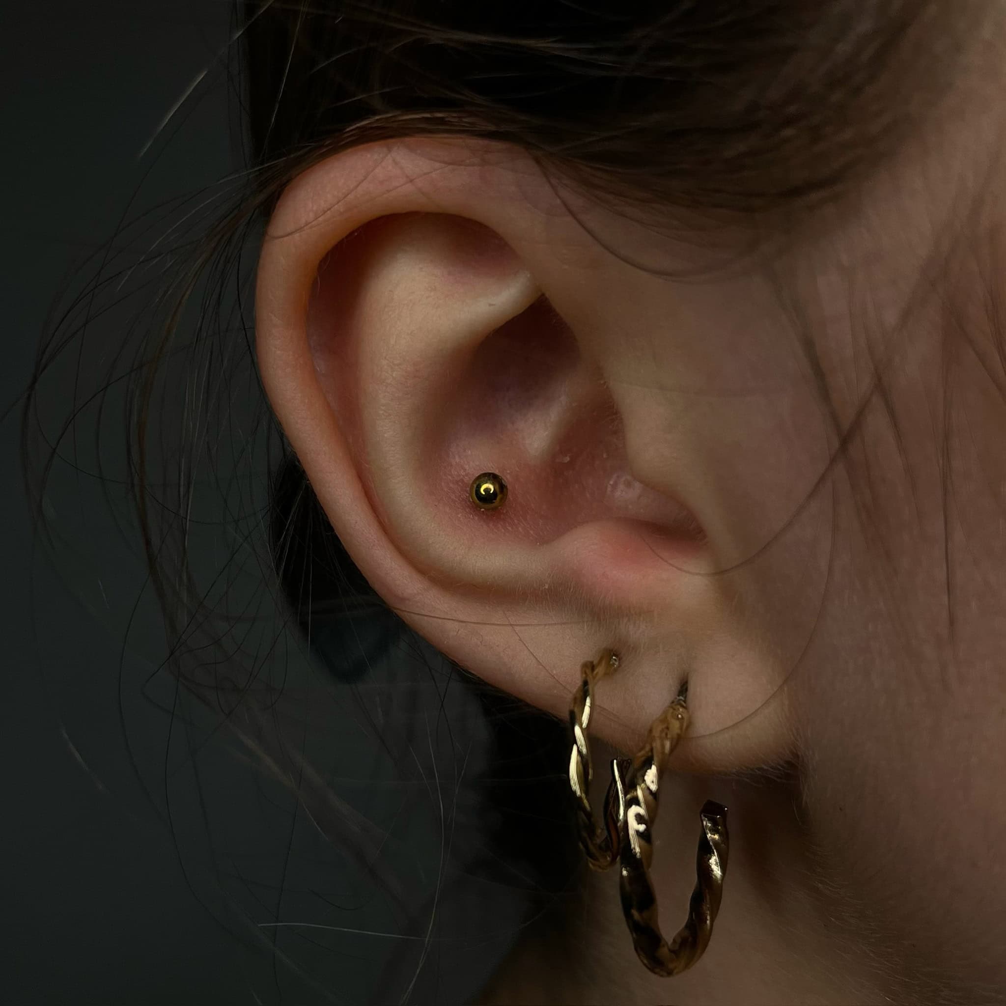 7sinstattoo.pl Zbliżenie ucha ozdobionego dwoma piercingami. Wewnętrzny piercing prezentuje mały, okrągły złoty kolczyk, podczas gdy zewnętrzny piercing ma charakterystyczną parę falistych złotych kolczyków-kółek (nazwa produktu: 277762B3-DB1E-4EA7-8320-9746B6746C16). Włosy wokół ucha są schowane z tyłu, a ciemne tło podkreśla nowy tatuaż z najlepszego studia tatuażu Poznań. Najlepsze studio tatuażu Seven Sins Tattoo