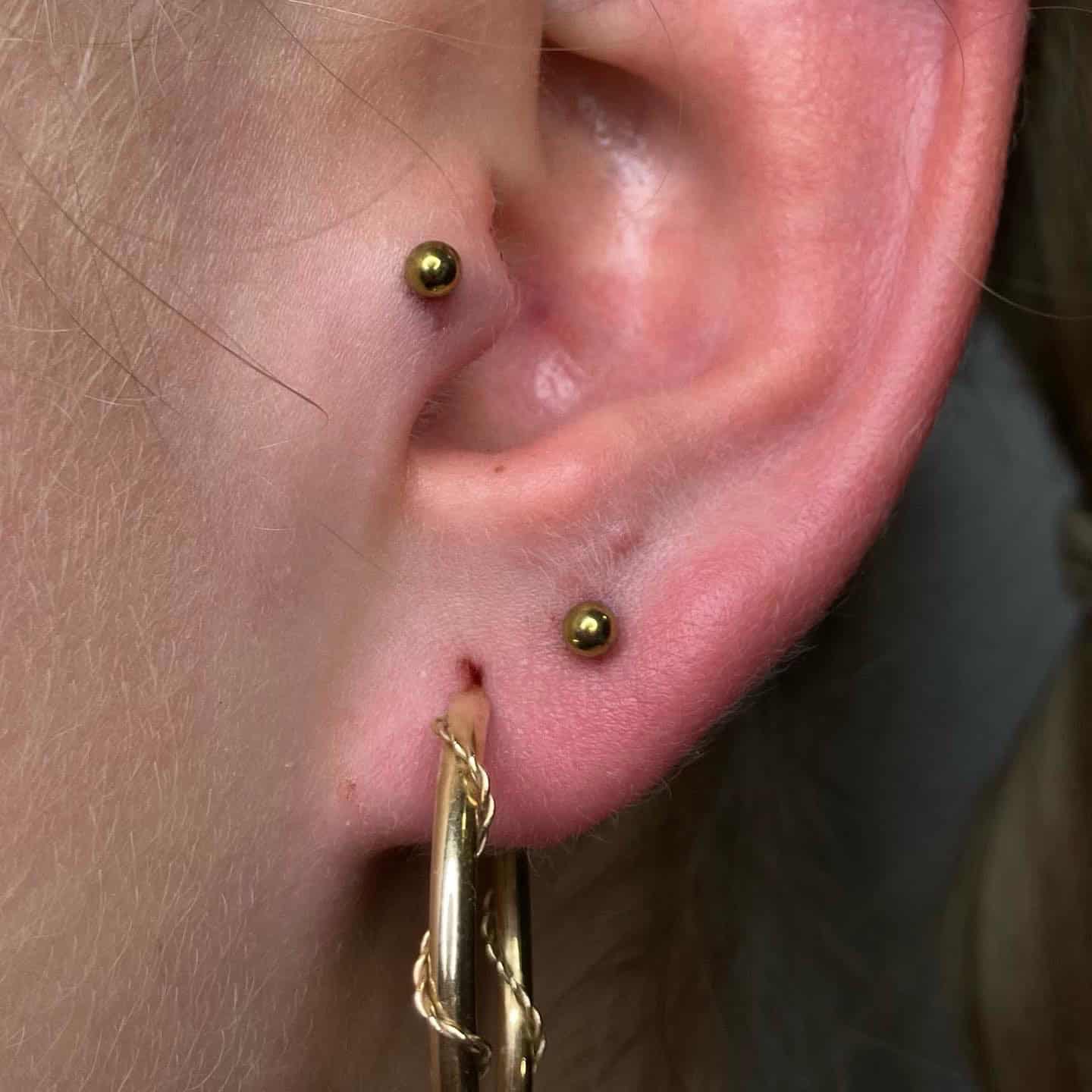 7sinstattoo.pl Zbliżenie ucha osoby prezentuje dwa małe złote kolczyki i jeden średniej wielkości złoty kolczyk-kółko z 2C02CD69-48B7-4340-8E1A-2E6F905A42F9. Kolczyk-kółko z gracją zwisa z płatka ucha, a kolczyki zdobią górną część ucha i przednią helisę. Ucho wydaje się lekko czerwone. Najlepsze studio tatuażu Seven Sins Tattoo