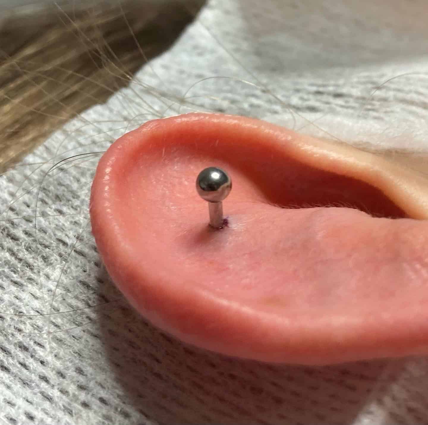 7sinstattoo.pl Zbliżenie ucha z nowym piercingiem ozdobionym kolczykiem sztangowym F75E6B5F-75DD-49C6-8484-05783109C123, zakończonym błyszczącą kulką. Ucho spoczywa na czymś, co wydaje się być białą gazą, co sugeruje niedawny profesjonalny piercing wykonany w studio tatuażu Poznań. Najlepsze studio tatuażu Seven Sins Tattoo
