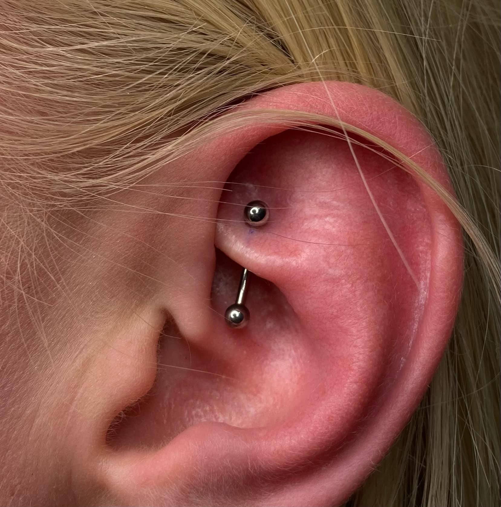 7sinstattoo.pl Zbliżenie ucha osoby z przekłuciem przemysłowym, wykonanym w najlepszym studiu tatuażu w Poznaniu. Produkt, IMG_3178, to metalowy sztanga z dwoma okrągłymi końcami włożonymi przez chrząstkę górnego ucha, powodujący lekkie zaczerwienienie wokół przekłutego obszaru. Ucho jest obramowane blond włosami. Najlepsze studio tatuażu Seven Sins Tattoo